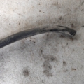 Audi 100 (43,C2) 76-82 431121109Q