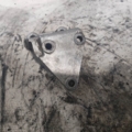 Кронштейн опори двигуна Audi 100 C3 1982-1991 069130439