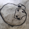 Проводка переднего бампера Audi A4 B6 (2000-2006) 8E0971095