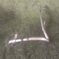 Трубка EGR 3.0 Audi A4 B6 (2000-2006) 06C131143H