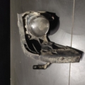 Фара противотуманная audi (c5) Audi A6 C5 (1997-2004) 14933300LI