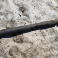 Кардан audi a6 c5 2.5tdi Audi A6 C5 (1997-2004) 4B0521101N