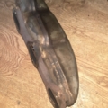 Выпускной коллектор Audi A6 C5 (1997-2004) 059253033C
