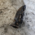Выпускной коллектор Audi A6 C5 (1997-2004) 059253033C