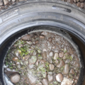 Автошина  Champiro WT-AX 195 /55 R16 87H Зимова 5мм Вживаний