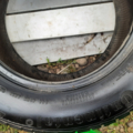 Автошина Continental ContiWinterContact  225 /60 R15 96H Зимова 6мм Вживаний
