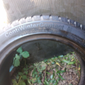 Автошина Continental ContiWinterContact TS760 175 /55 R15 77T Зимова 4мм Вживаний
