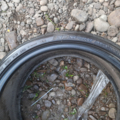 Автошина Dunlop SP Sport Maxx GT 265 /30 R20 94Y Літо 5мм Вживаний