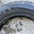 Автошина Dunlop Special 155 /55 R15  Всесезонна 8мм Вживаний