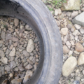 Автошина Dunlop SpSportMaxx 295 /35 R21 107Y Літо 4мм Вживаний