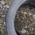 Автошина Dunlop SpSportMaxx 295 /35 R21 107Y Літо 4мм Вживаний