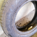 Автошина Fulda EcoControl 155 /70 R13 75T Літо 5мм Вживаний