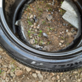Автошина Goodyear Eagle F1 Supercar 325 /30 R19 94Y Літо 4мм Вживаний