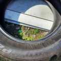 Автошина Hankook Dynapro HP2 275 /60 R20 115H Всесезонна 4мм Вживаний