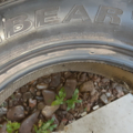 Автошина Hankook ICEBEAR W300 255 /60 R17 106H Зимова 4мм Вживаний