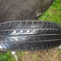 Автошина  Impulsion 165 /65 R14 79T Літо 6мм Вживаний