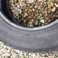 Автошина Michelin Energy Saver 205 /60 R15 91V Літо 7мм Вживаний