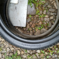Автошина Pirelli PZERO DIREZIONALE 255 /35 R20 97Y Літо 6мм Вживаний