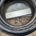 Автошина Pirelli Winter 210 SnowSport 205 /55 R16 91H Зимова 4мм Вживаний