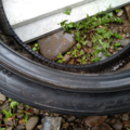 Автошина  PROXES T1 255 /35 R19 96Y Літо 6мм Вживаний