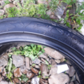 Автошина  Rase1 205 /40 R17 84W Літо 5мм Вживаний