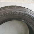Автошина Semperit SPORT-LIFE 175 /65 R14 82T Літо 4мм Вживаний
