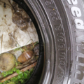 Автошина Tigar CargoSpeedWinter 215 /65 R16С 109/107R Зимова 5мм Вживаний