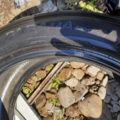 Автошина Yokohama Parada Spec-X 275 /45 R20 110V Літо 3.5мм Вживаний