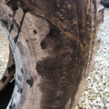 Автошини Michelin Pilote X 315/75 R22.5   18мм  Всесезонна Б/У