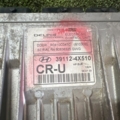 Блок керування двигуном 2,9 дт Hyundai Terracan HP (2001-2007) 391124X510