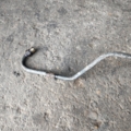 Hyundai Terracan HP (2001-2007) 47222H1901