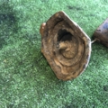 Hyundai Terracan HP (2001-2007) 62800H1500