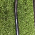 Hyundai Terracan HP (2001-2007) 97621H1250
