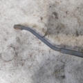 Hyundai Terracan HP (2001-2007) 98331H1000