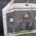 капот Hyundai Terracan HP (2001-2007) 79000H1210