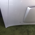 капот Hyundai Terracan HP (2001-2007) 79000H1210