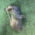 Кронштейн генератора Hyundai Terracan HP (2001-2007) 0K88R18371