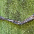 Повідок двірника Hyundai Terracan HP (2001-2007) 98331H1000