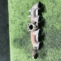 Коллектор выпускной 2,5crdi Kia Sorento JC (2002-2009) 285114A000