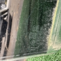 Скло дверки заднє праве KIA Sorento JC (2002-2009) 834213E010