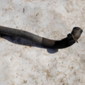 100% оригінал mercedes benz Mercedes-Benz A-Class W169 (2004-2012) A1695010182