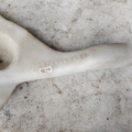 Behaelter Mercedes-Benz A-Class W169 (2004-2012) 6738690220
