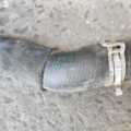 Патрубок Mercedes-Benz A-Class W169 (2004-2012) A1695011382
