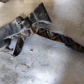 Потенціометр газу mercedes w245 1.9 91736020 Mercedes-Benz A-Class W169 (2004-2012) A91736020
