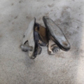 100% оригінал mercedes benz Mercedes-Benz A-Class W169 (2004-2012),B-Class W245 (2005-2011) A1697300337