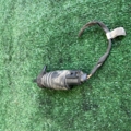 Моторчик омивача скла Mercedes-Benz C-Class W203 (2000-2007) A2108690821