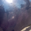 капот Mercedes-Benz E-Class W210 (1995-2003) A2108800957