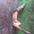 Кронштейн впускного коллектора Mercedes-Benz ML-Class W163 1997-2005 A6110981929