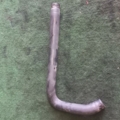 Трубка Mercedes-Benz ML-Class W163 1997-2005 6122030782