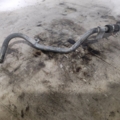 Mitsubishi L200 KB (2006-2015) 2036A375
